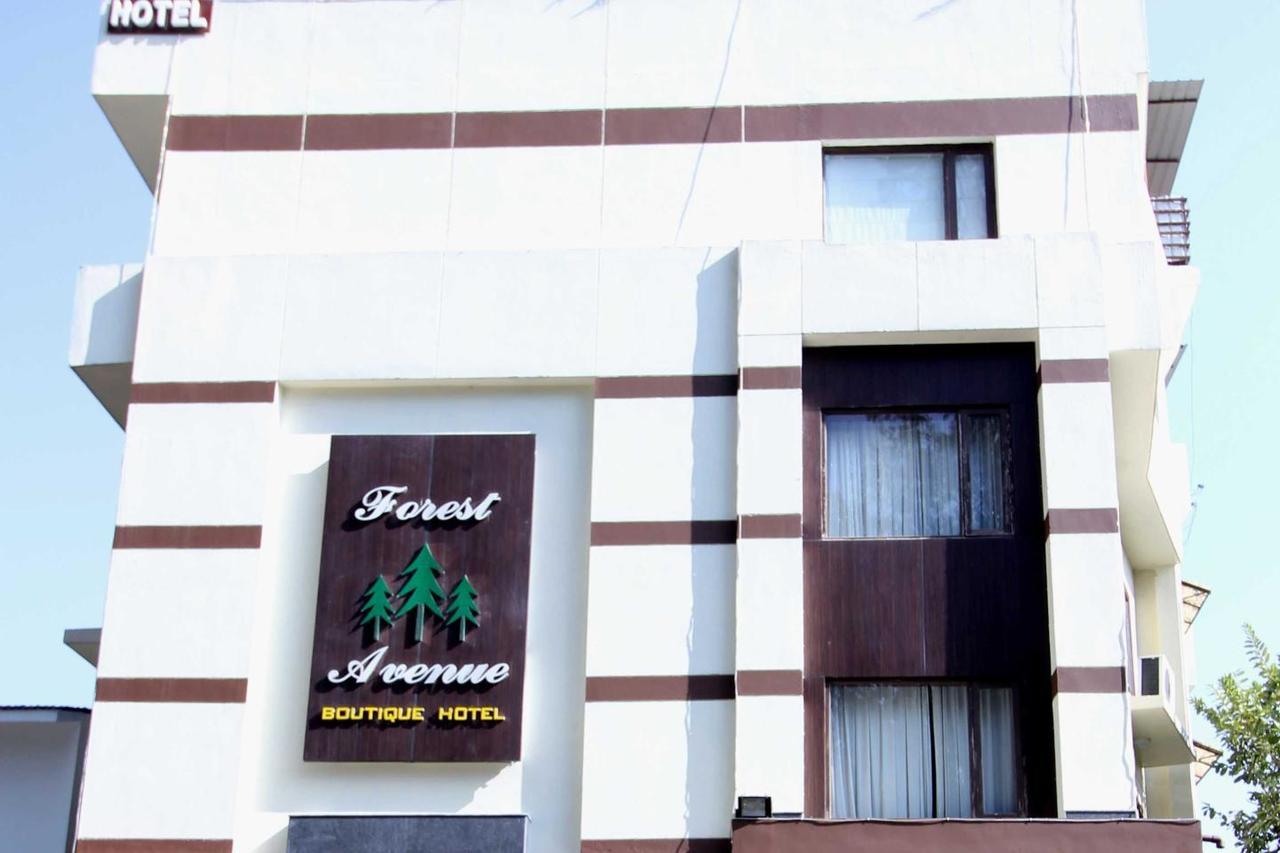 Hotel Forest Avenue - Best Luxury Hotel In Деградун Екстер'єр фото